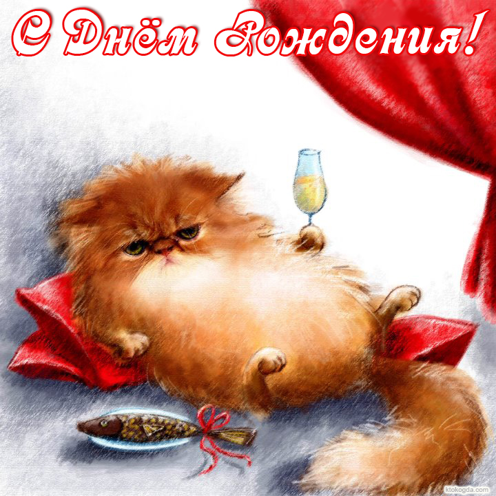 Открытка с Днем Рождения прикольная, кот