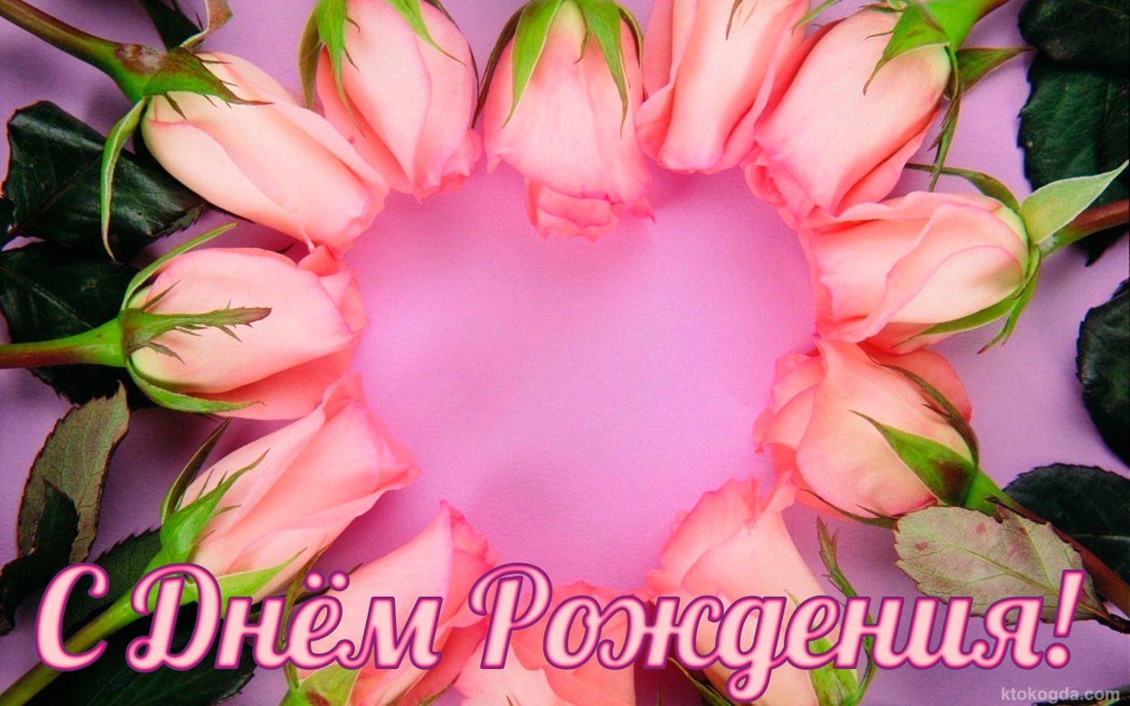 Открытка с Днем Рождения, цветы, розовые розы