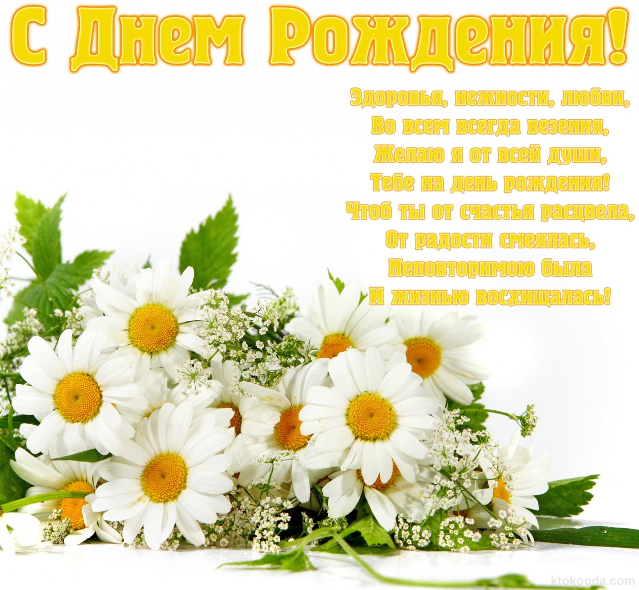 Открытка с Днем Рождения, цветы, ромашки