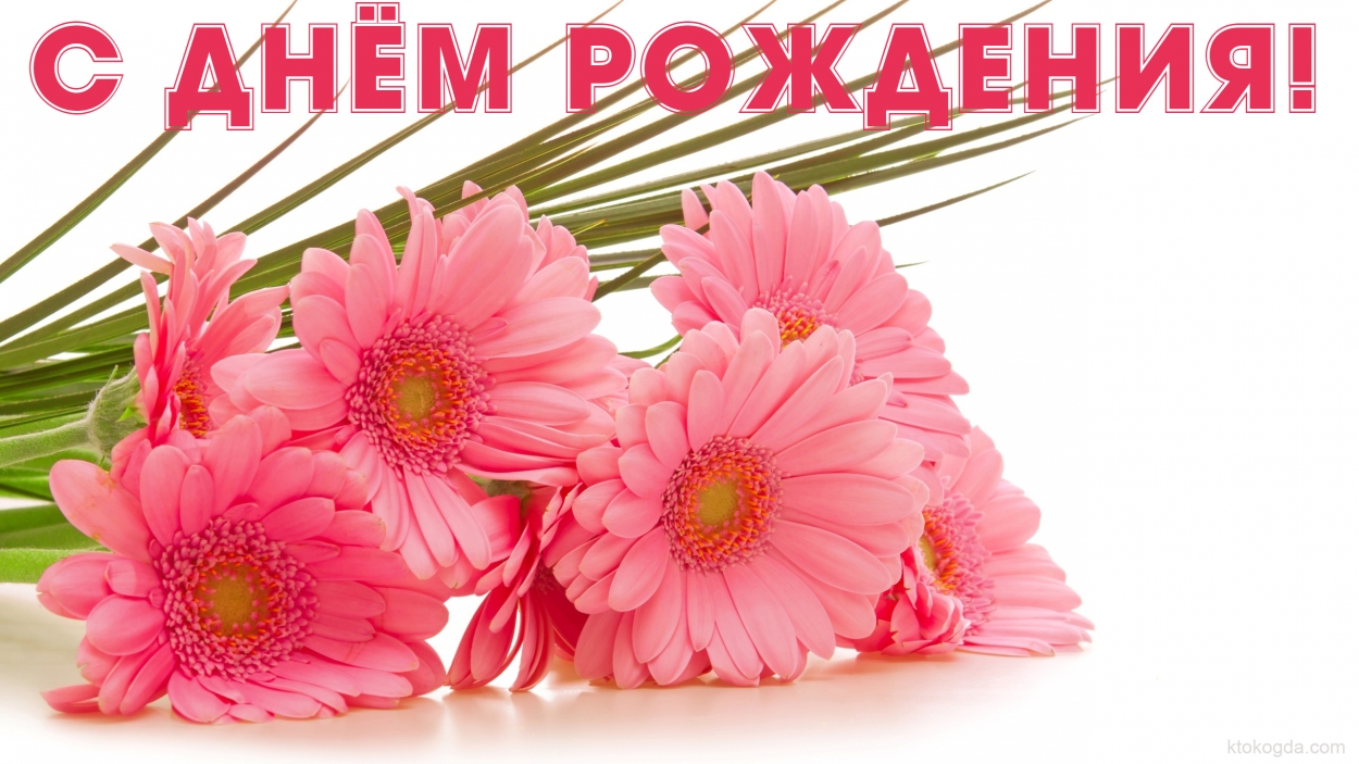 Открытка с Днем Рождения женщине, цветы, герберы