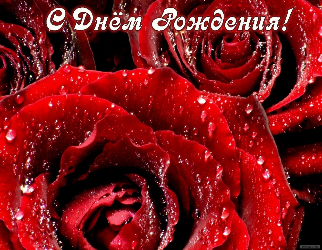 Открытка с Днем Рождения женщине, цветы, красные розы