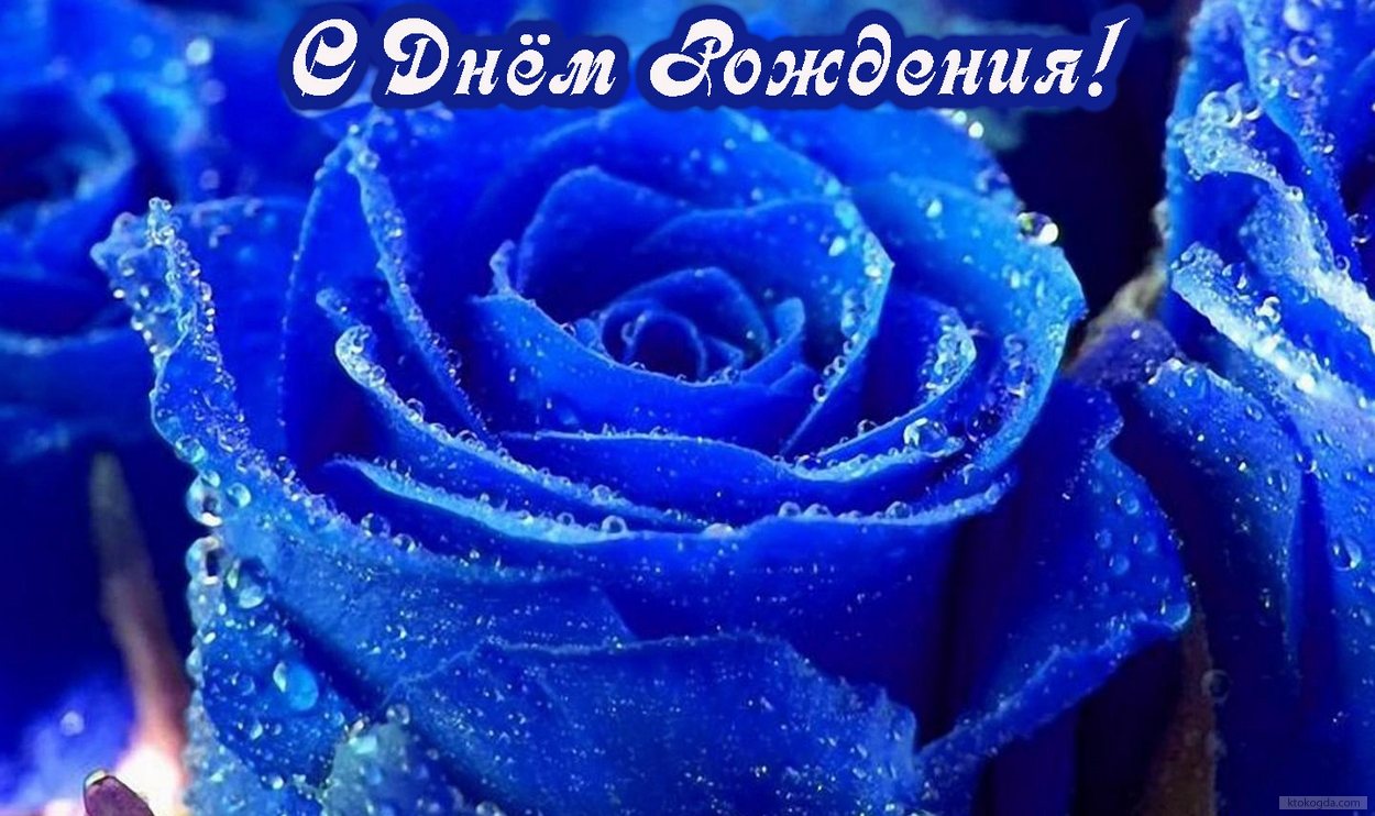Открытка с Днем Рождения, цветы, синие розы