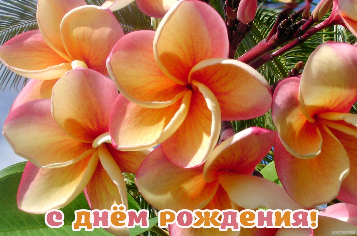 Открытка с Днем Рождения, цветы