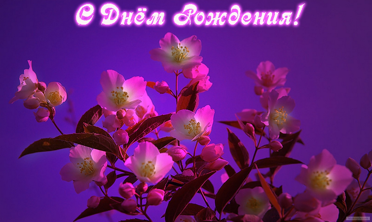 Открытка с Днем Рождения, цветы