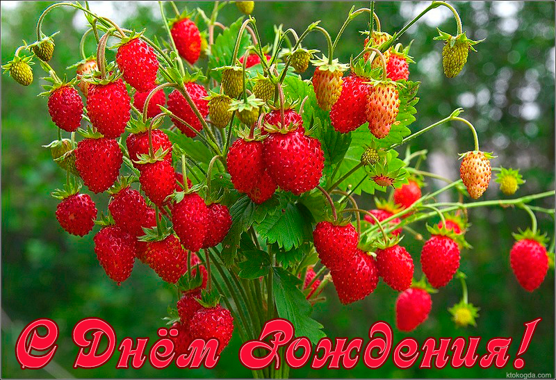 Открытка с Днем Рождения, букет из земляники