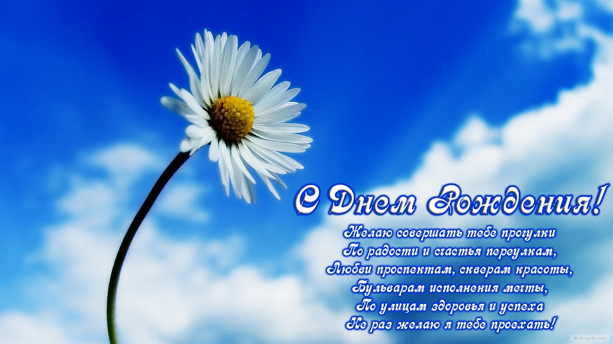 Открытка с Днем Рождения с стихотворением, цветок, ромашка и небо