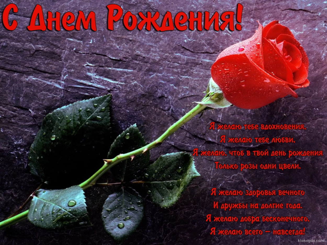 Открытка с Днем Рождения, цветы, красная роза, с поздравлением, стихотворение