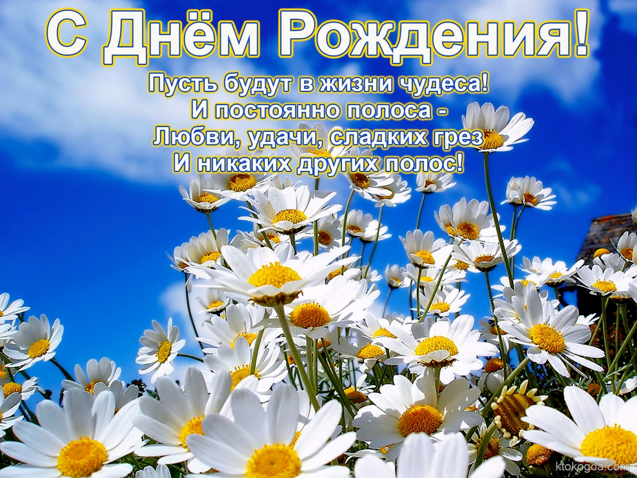 Открытка с Днем Рождения с стихотворением, цветы, ромашки