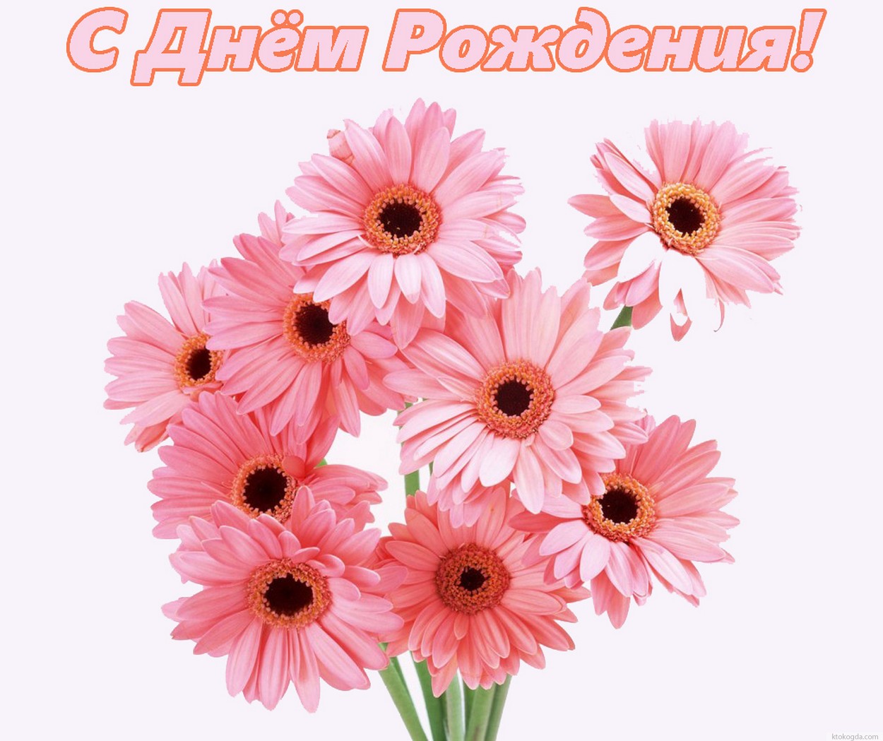 Открытка с Днем Рождения, цветы