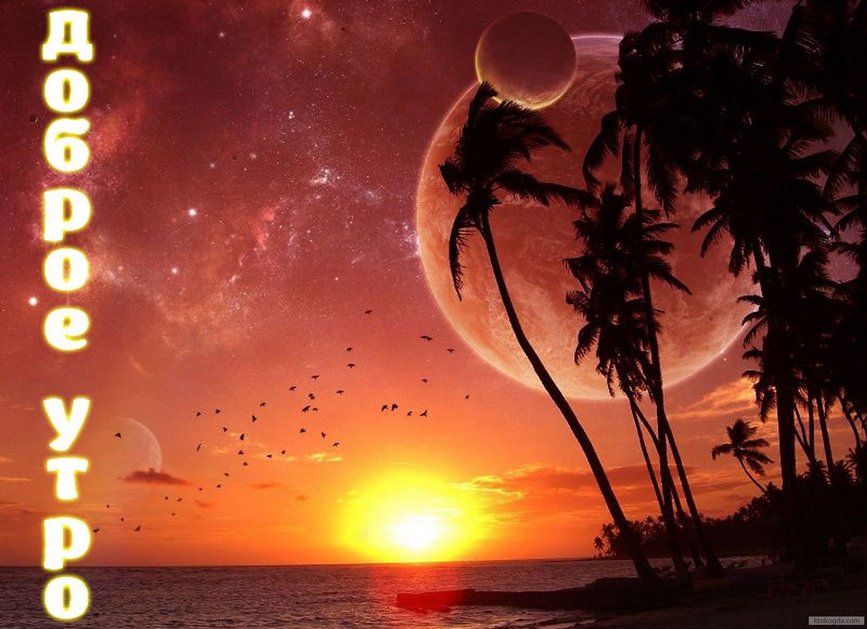 Открытка с добрым утром, рассвет, море и пальмы