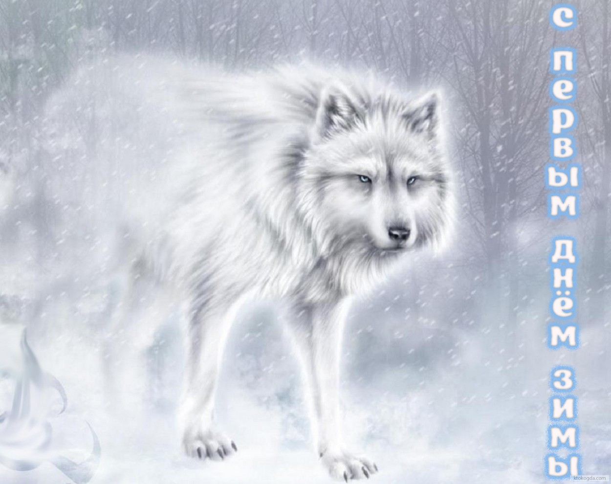 Открытка с первым днем зимы, волк и снег