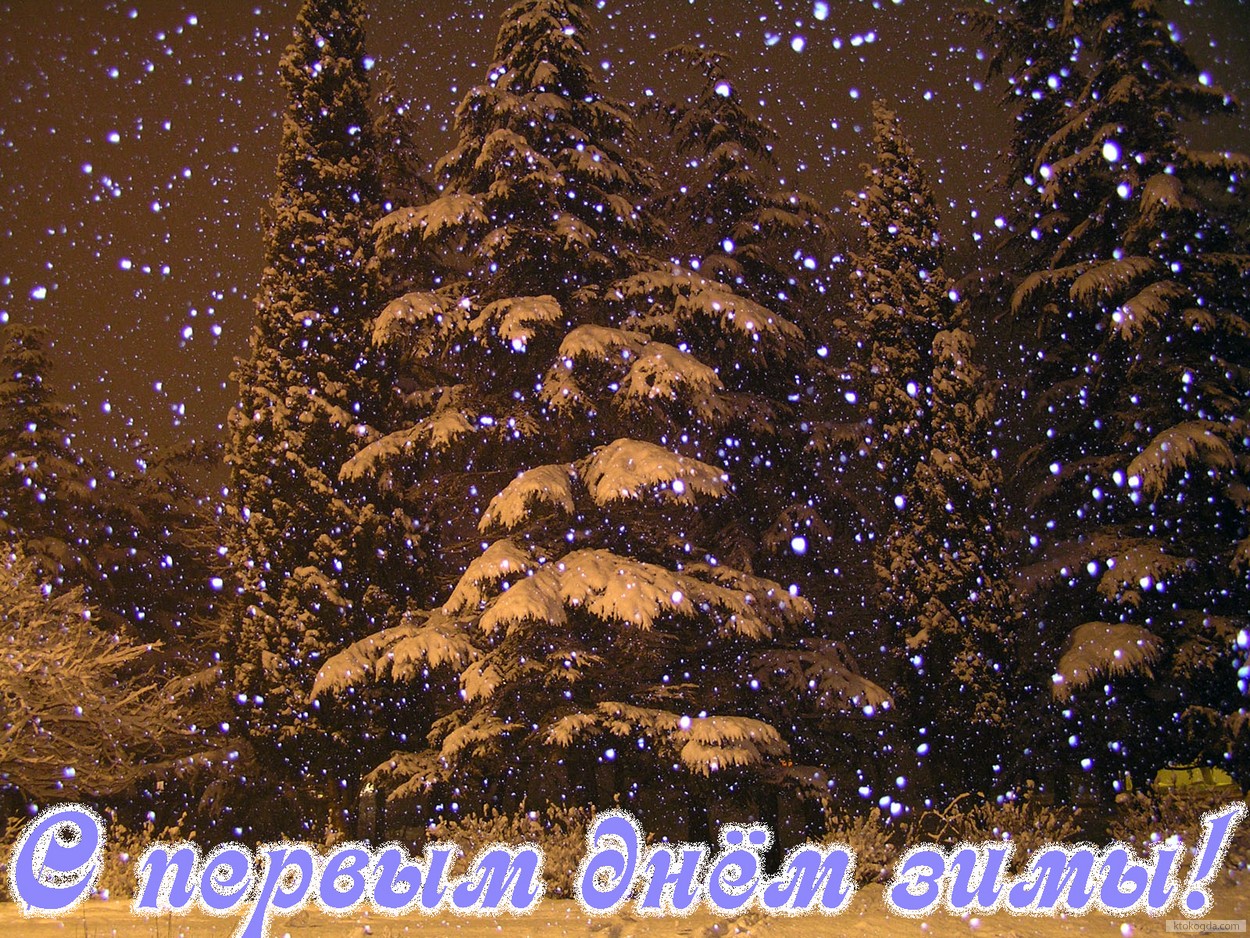 Открытка с первым днем зимы, сосны в снегу