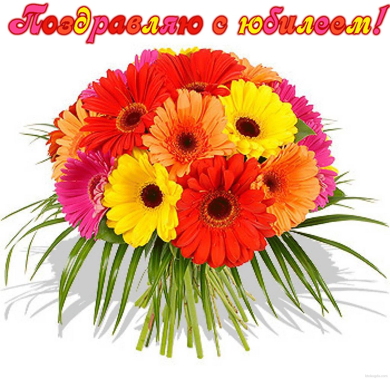Открытка Поздравляю с юбилеем, букет цветов, герберы