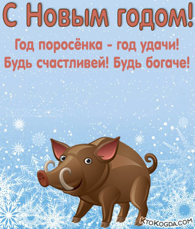 Год поросёнка - год удачи