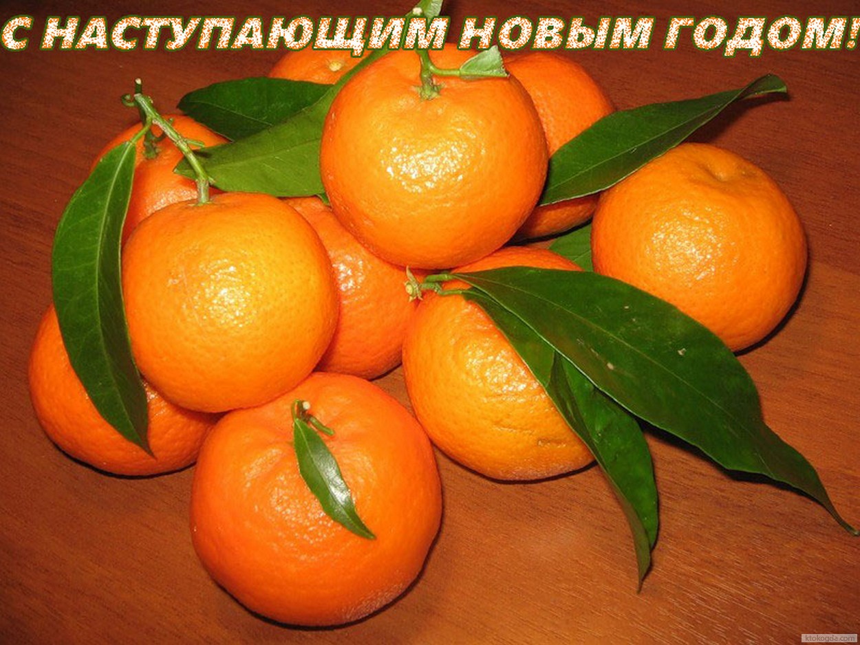 Открытка с наступающим Новым годом, мандарины