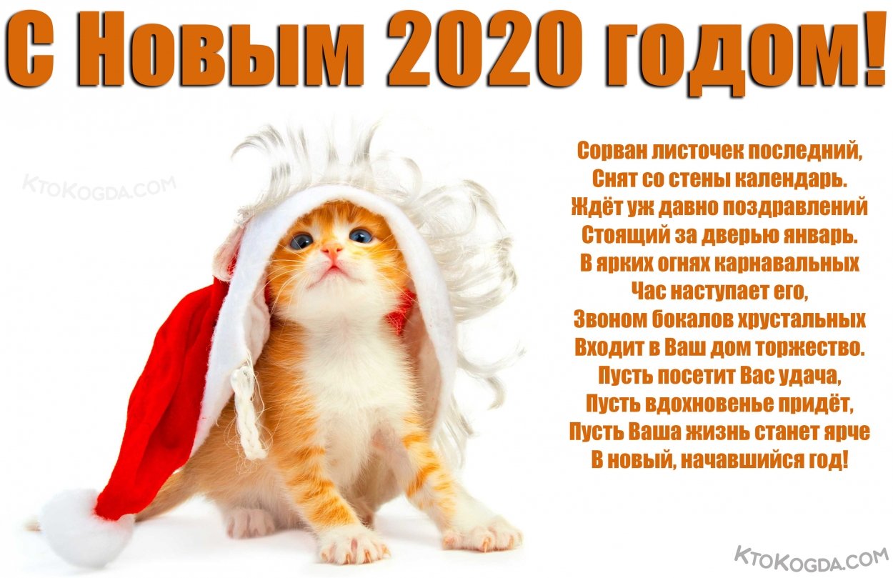 Открытка с Новым 2020 годом с поздравлением, животные, рыжий котенок в шапке Деда Мороза/Санта Клауса