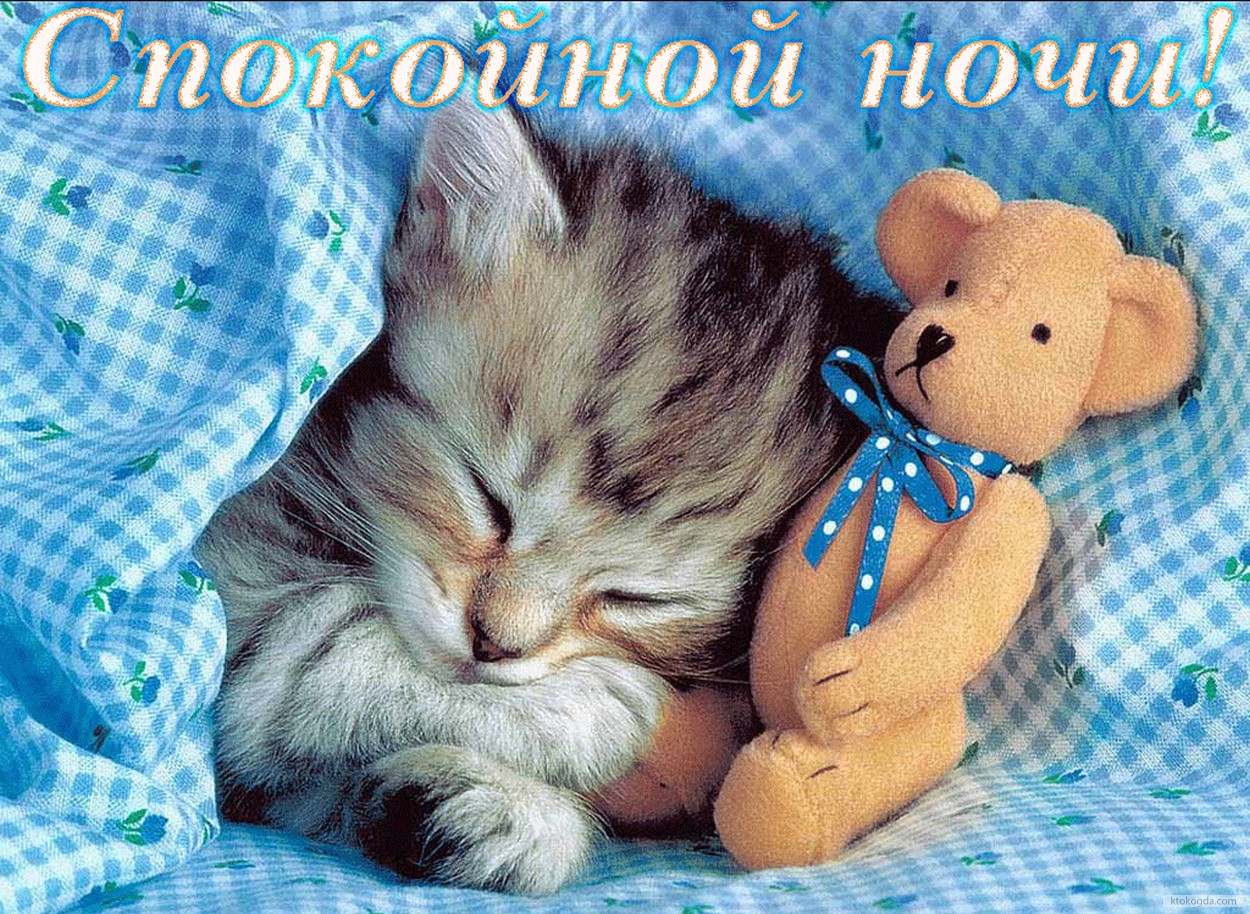 Открытка спокойной ночи, спящий котенок