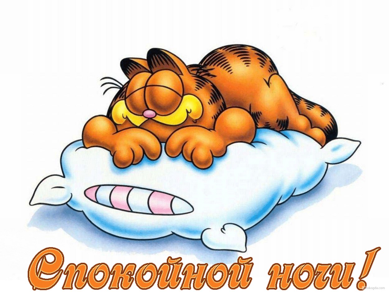 Открытка спокойной ночи, Гарфилд