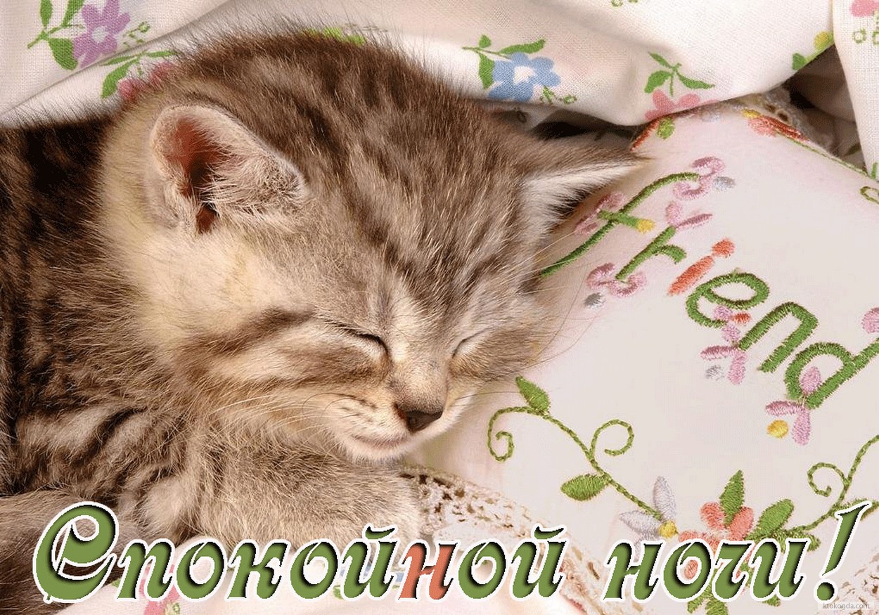 Открытка спокойной ночи, котенок