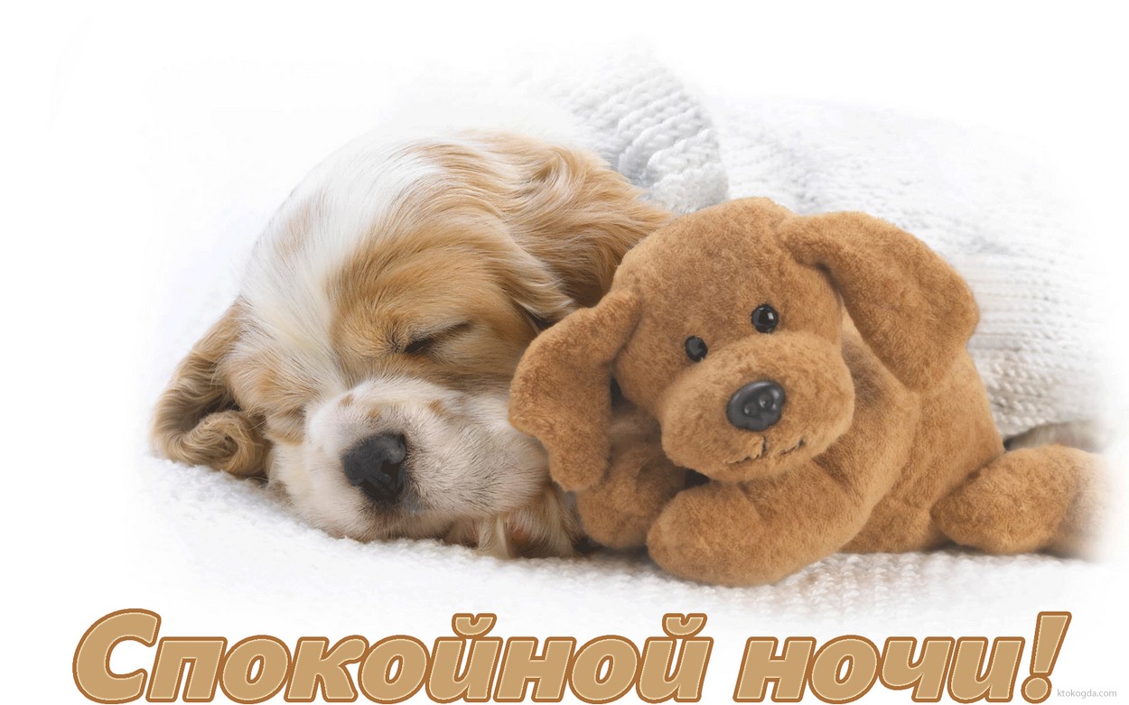 Открытка спокойной ночи, спящие щенок