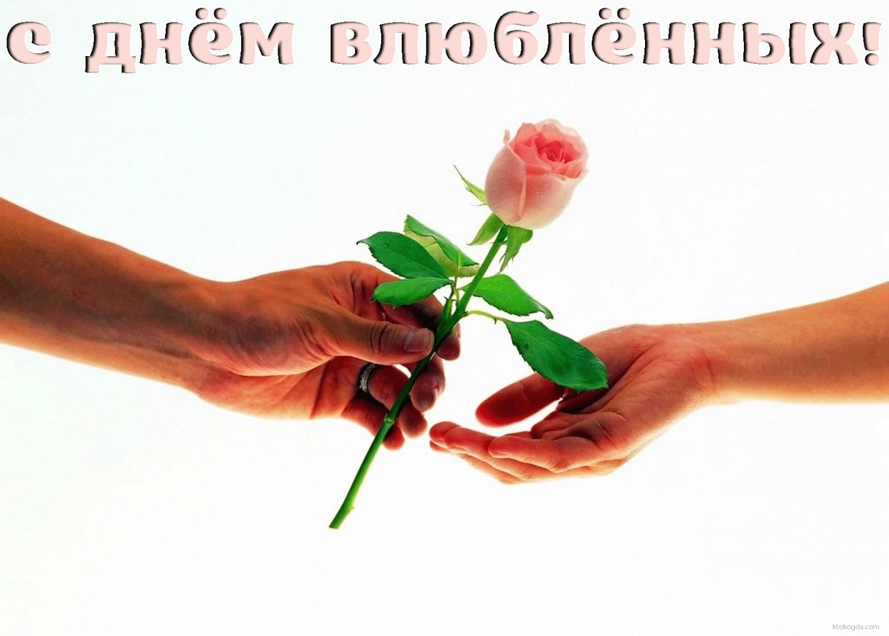 Открытка с Днем влюбленных, роза