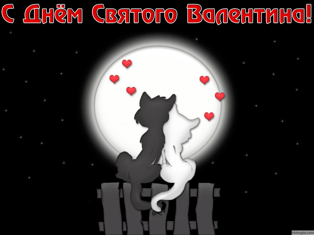 Открытка с Днем Святого Валентина, кошки