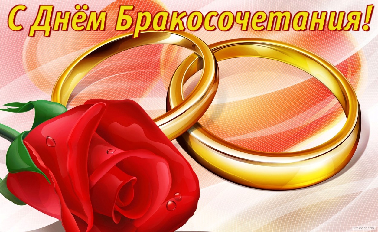 Открытка с Днем бракосочетания, роза и обручальные кольца