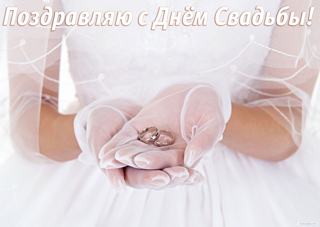 Открытка с Днем свадьбы, обручальные кольца и невеста