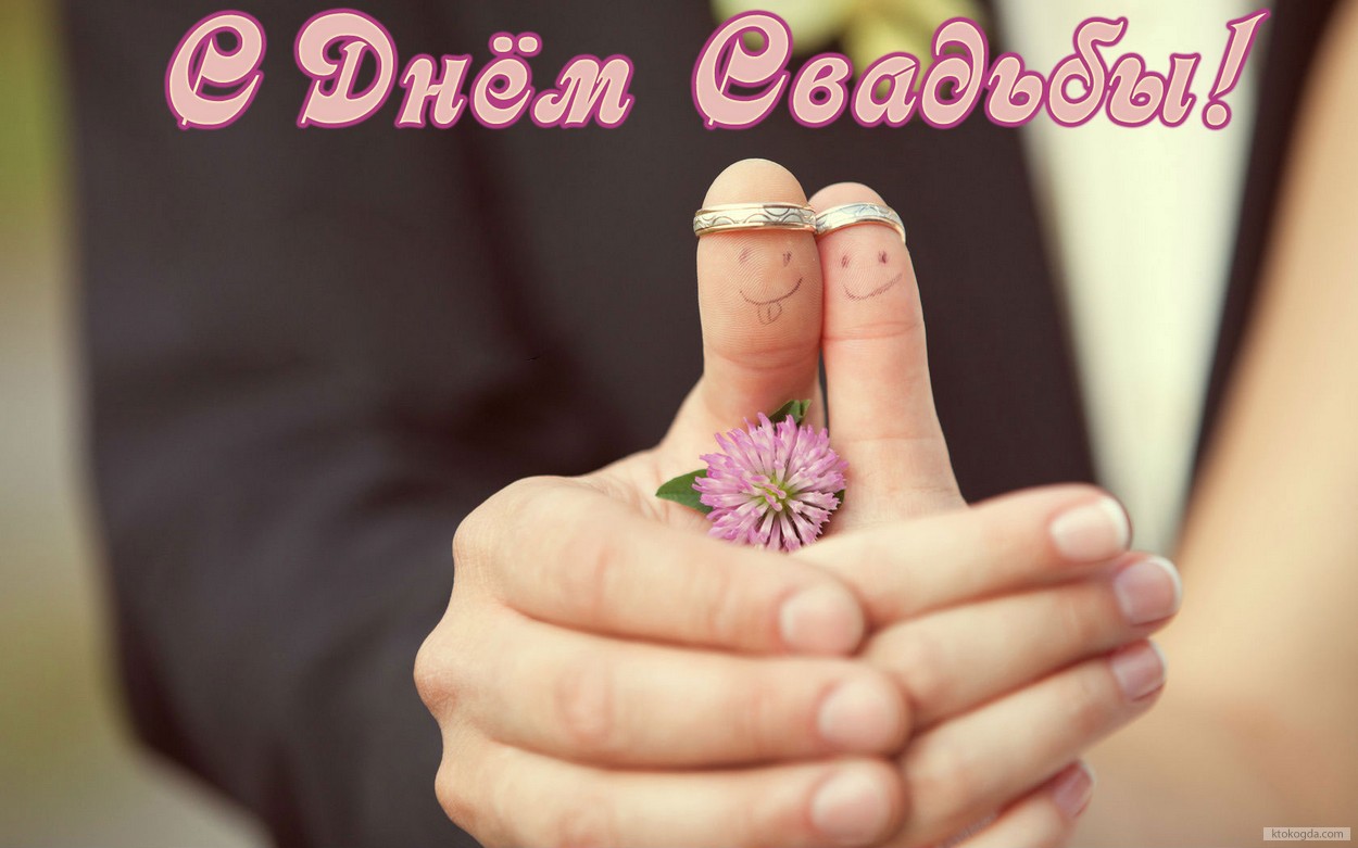 Открытка с Днем свадьбы прикольная, обручальные кольца