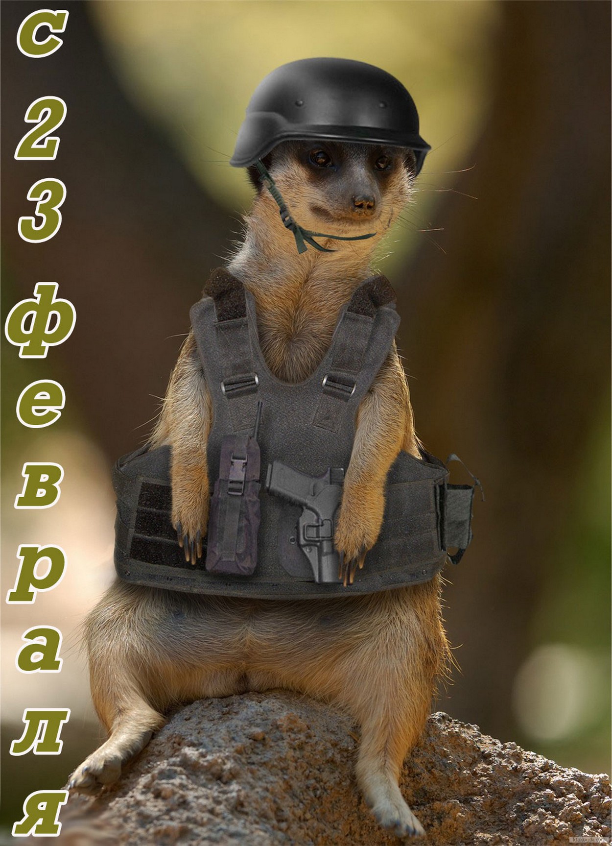 Открытка с 23 февраля прикольная