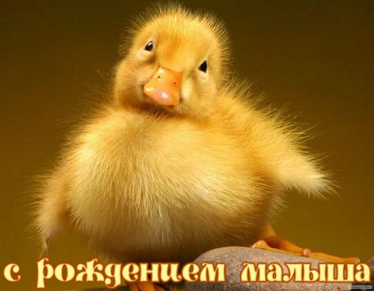 Открытка с рождением малыша