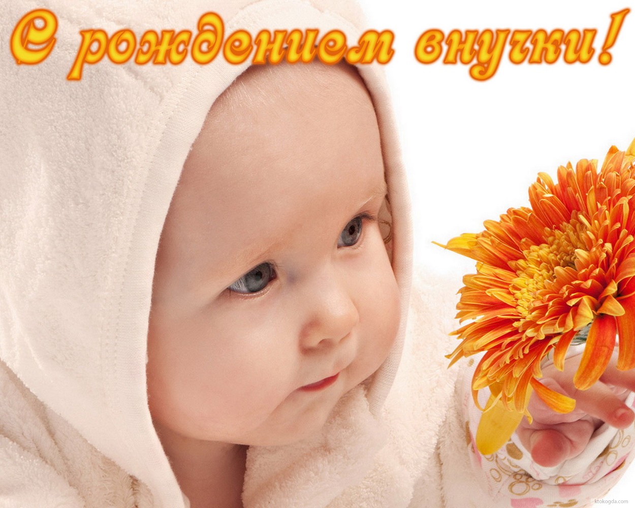 Открытка с рождением внучки