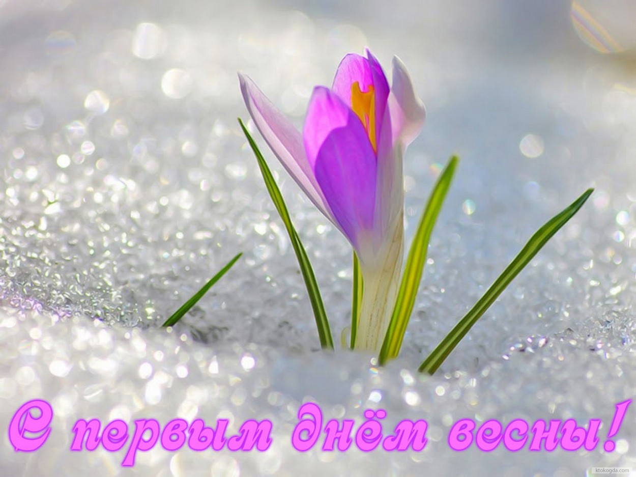 Открытка с первым днем весны, подснежник