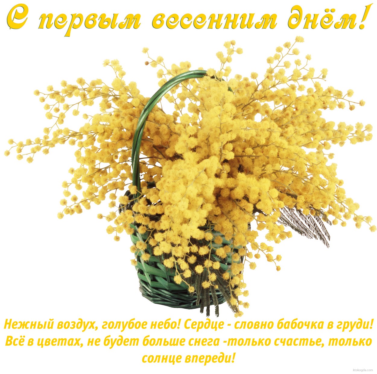 Открытка с первым весенним днем, букет из мимозы