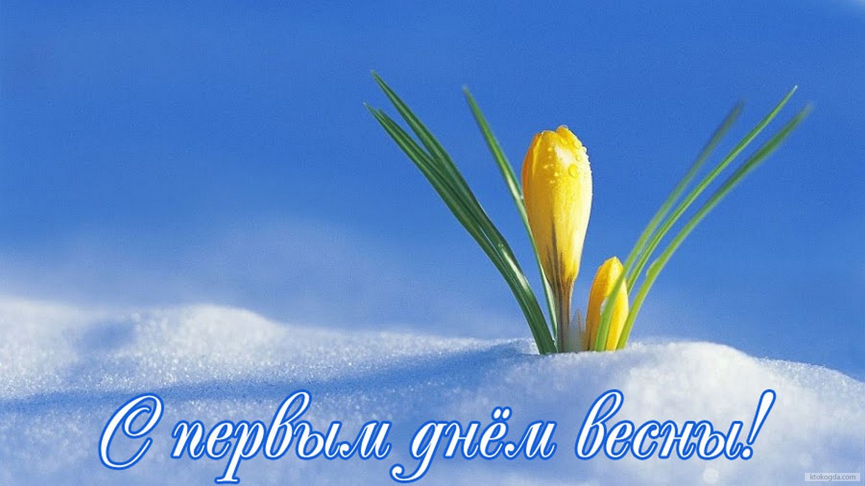 Открытка с первым днем весны, подснежники