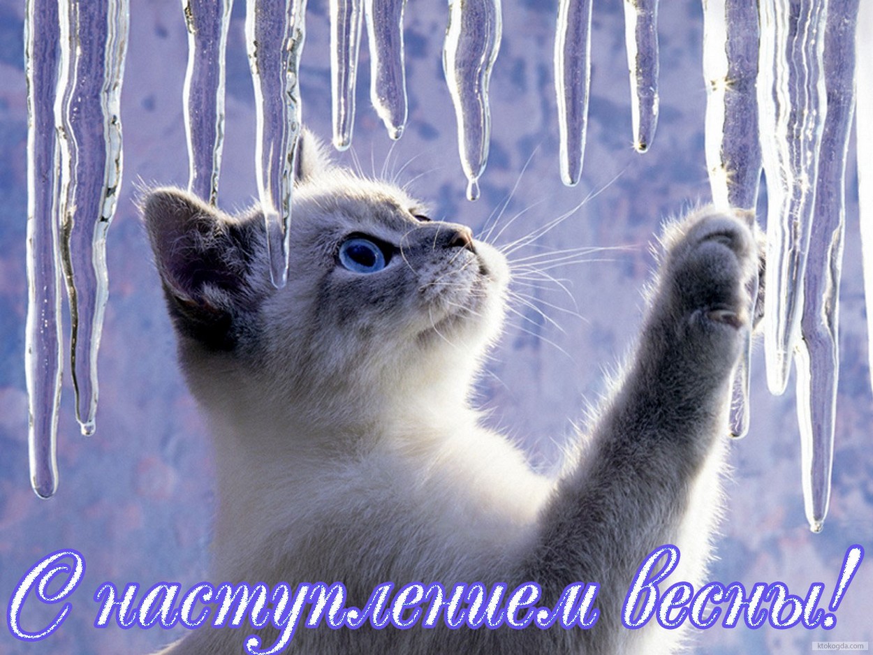 Открытка с наступлением весны, котенок и сосульки