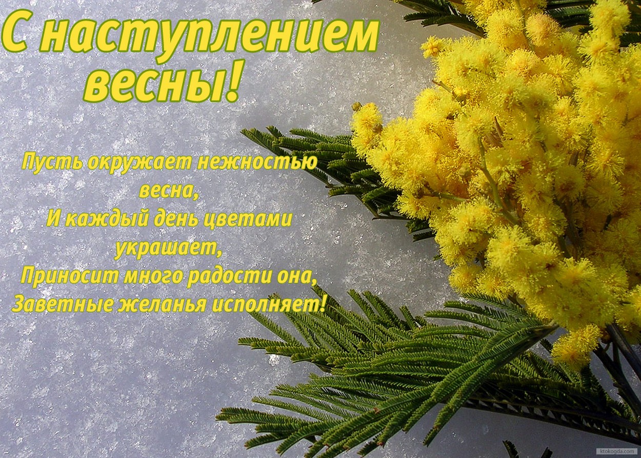 Открытка с наступлением весны, мимоза, стихотворение