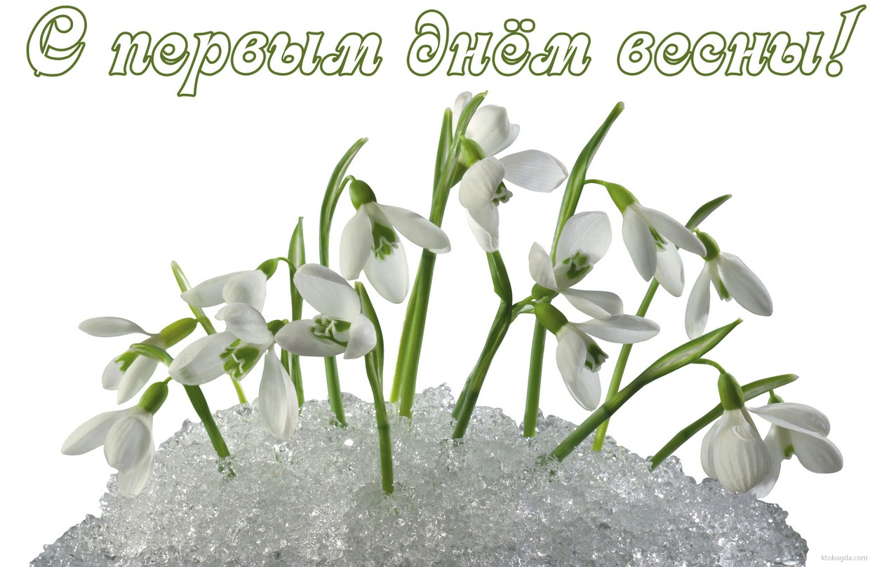 Открытка с первым днем весны, подснежники