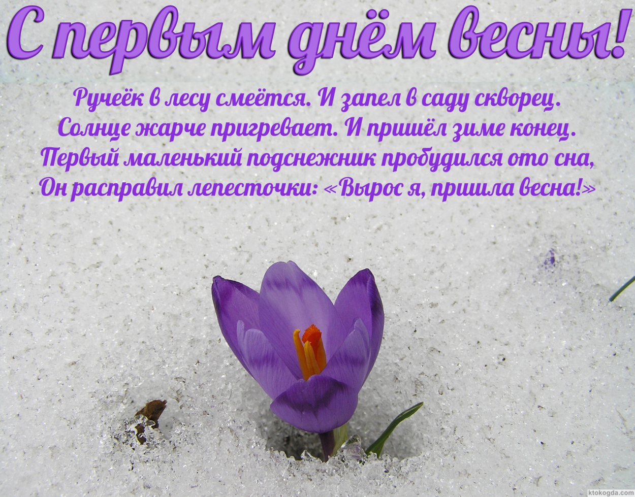 Открытка с первым днем весны, подснежник