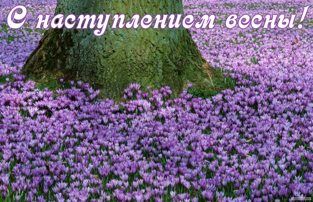 Открытка с наступлением весны, цветы