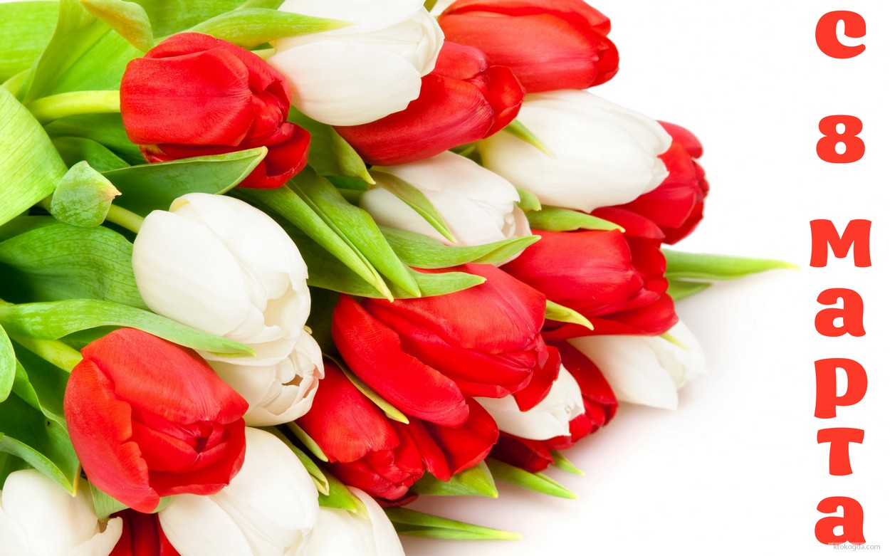 Открытка с 8 марта, тюльпаны