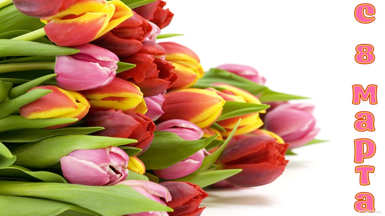 Открытка с 8 марта, тюльпаны