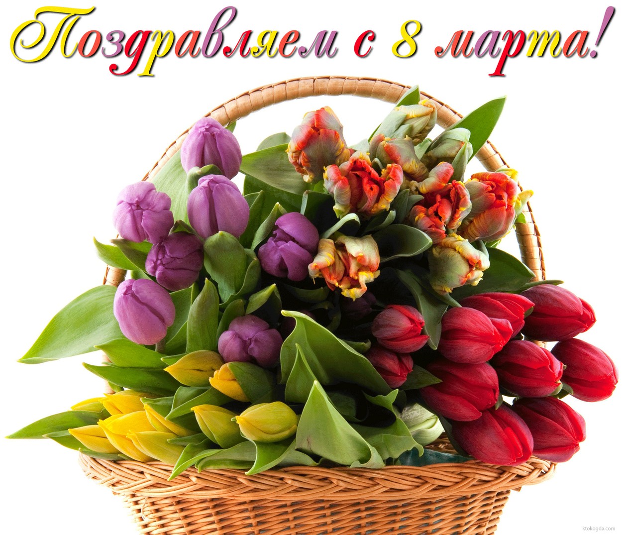 Открытка поздравляем с 8 марта, тюльпаны