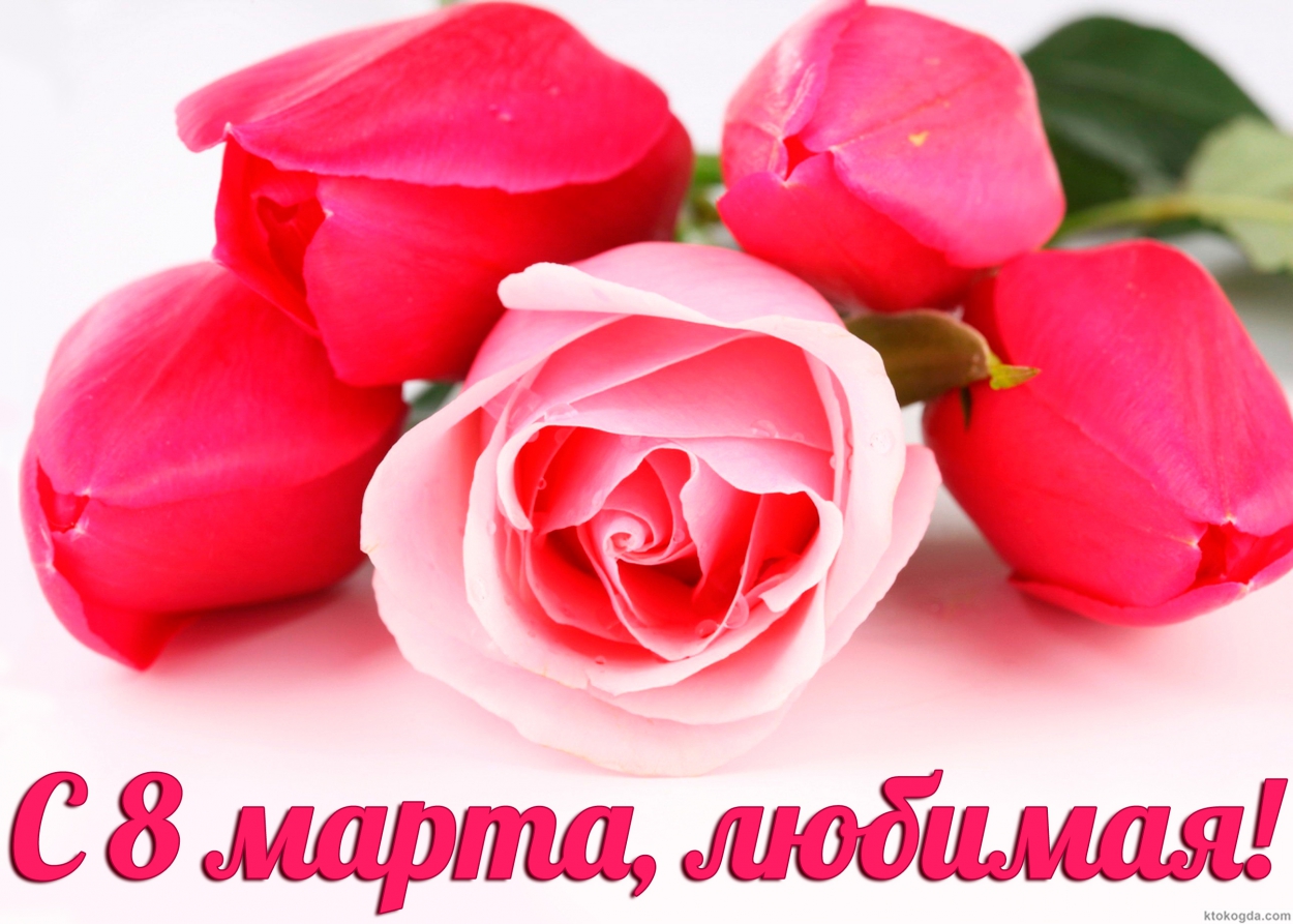 Открытка с 8 марта, любимая, тюльпаны и роза