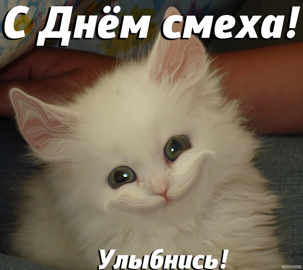 Открытка с Днем смеха, улыбнись, улыбающийся котенок