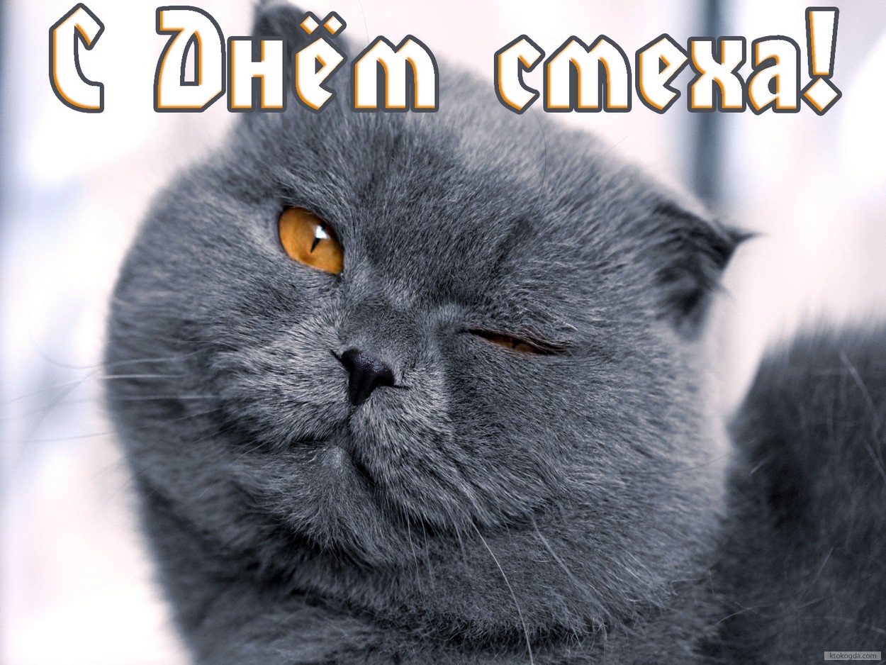 Открытка с Днем смеха, кот с улыбкой