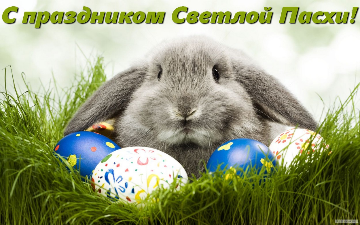 Открытка с праздником Пасхи, яйца и кролик