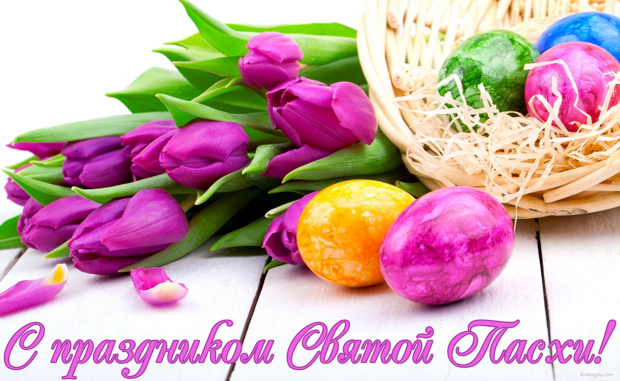 Открытка с праздником Святой Пасхи, тюльпаны и яца