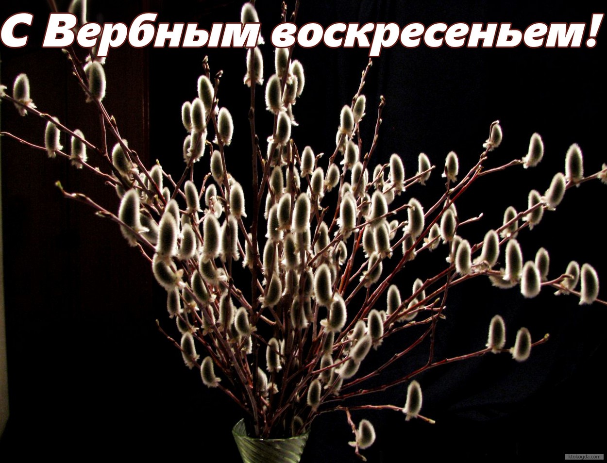 Открытка с Вербным воскресеньем