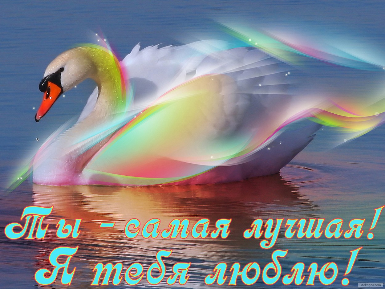 Открытка я люблю тебя, ты самая лучшая, лебедь